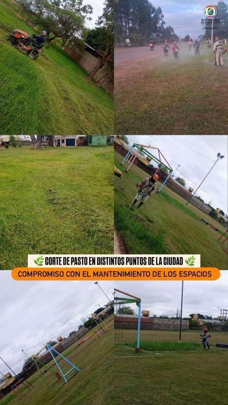 Santo tome: Mantenimiento y corte de pasto
